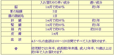 ↑ 体の入れ替わる速度