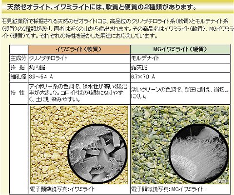 ↑ ゼオライト（イワミライト）