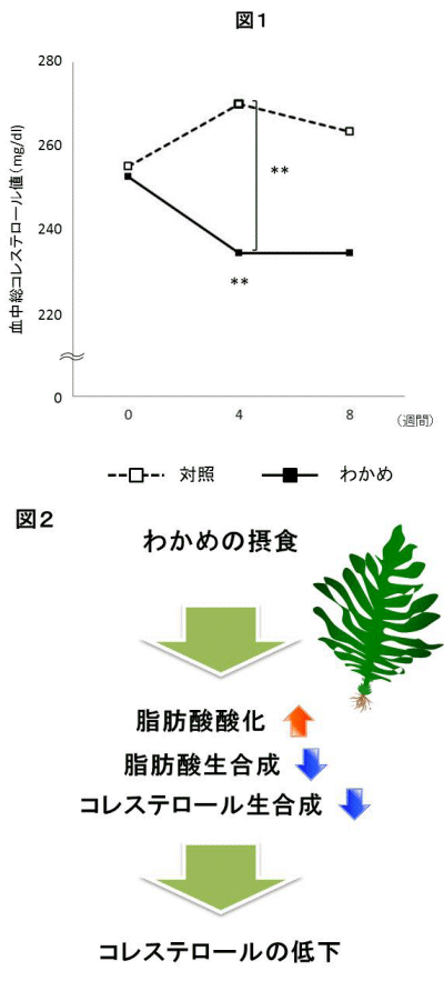 ↑ 該当研究の概念図