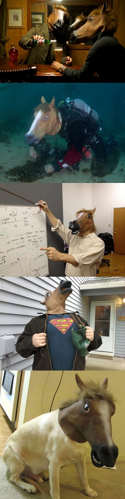 ↑ Accoutrements Horse Head Mask