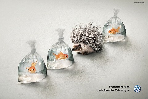 ↑ Volkswagen Park Assist: Hedgehog and Fish