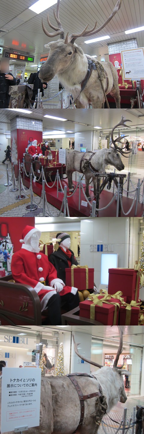 ↑ 池袋駅に現れたトナカイとソリ