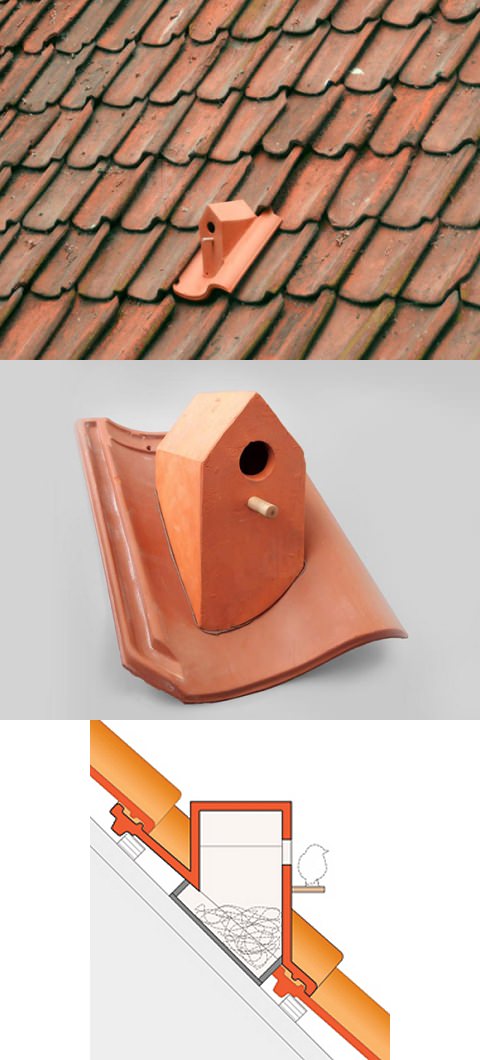 ↑ Birdhouse Rooftile