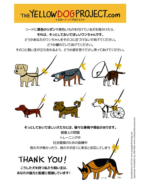 ↑ THE YELLOW DOG PROJECT.com