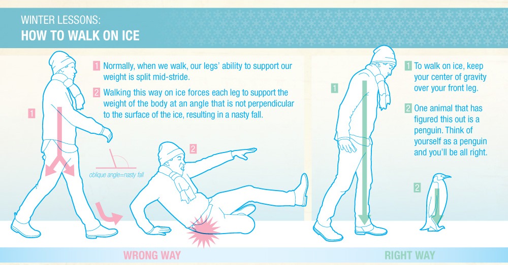 ↑ Winter Lessons:How to walk on ice