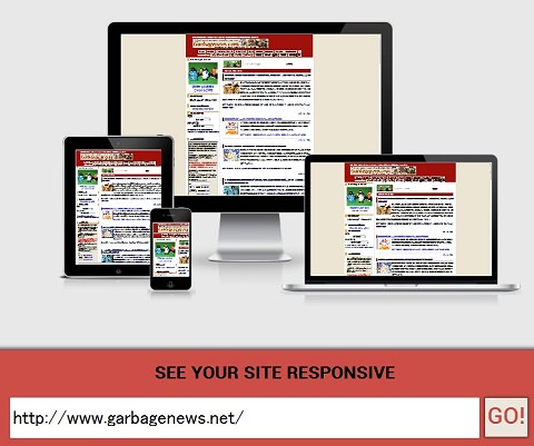 ↑ Am I Responsive?で本家サイトを試してみた結果