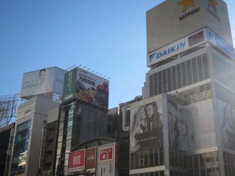 ↑ 銀座某所でのビルの看板群